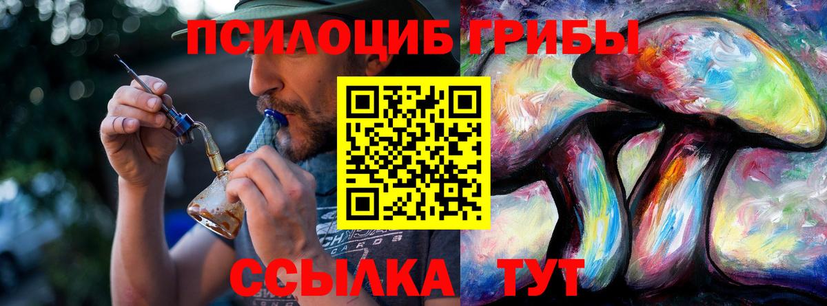 Псилоцибиновые грибы Psilocybe Малгобек