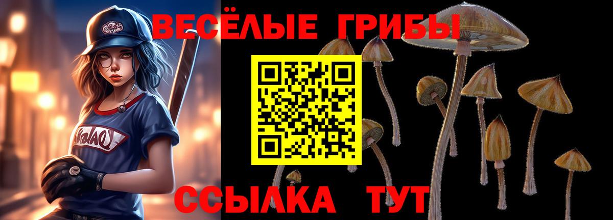 Малгобек  Галлюциногенные грибы ЛСД  Вход с VPN 