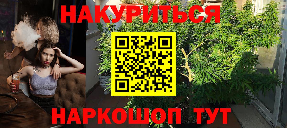 Шишки марихуана семена Малгобек